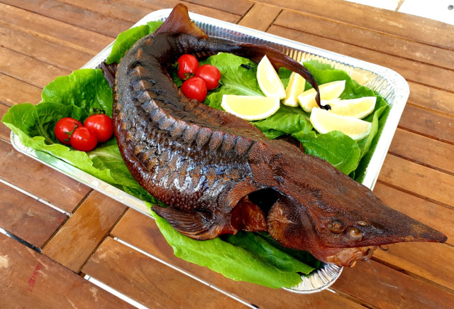 Осетр целый