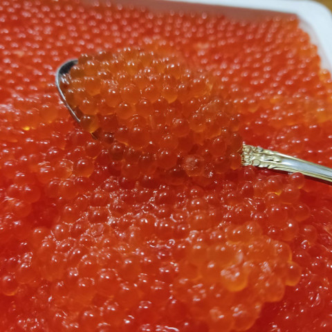 Икра форели, малосол 